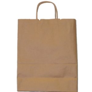 Brown Paper Merchandise Bag